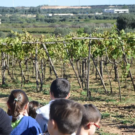 Masseria Belvedere Bed & Breakfast Lizzano (Apulia)